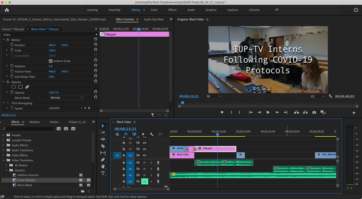 a screenshot from video editing software