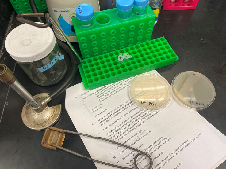 lab samples on a table with a printed worksheet