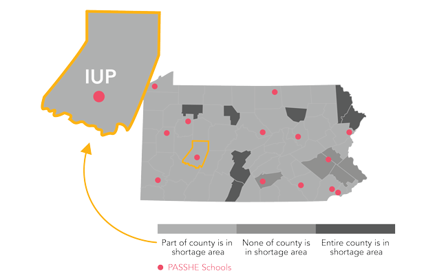 map showing counties in the state with health care shortage, which is most of the state