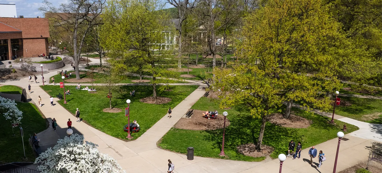 Students walking through the IUP oak grove