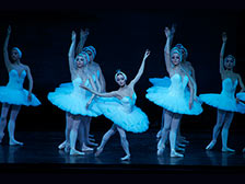 Swan Lake