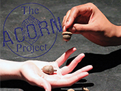 The Acorn Project