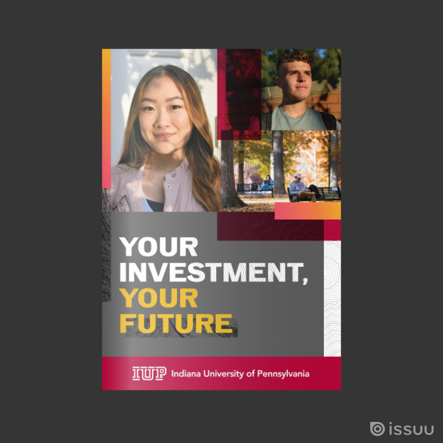 graphic with pages from the your investmet your future student booklet