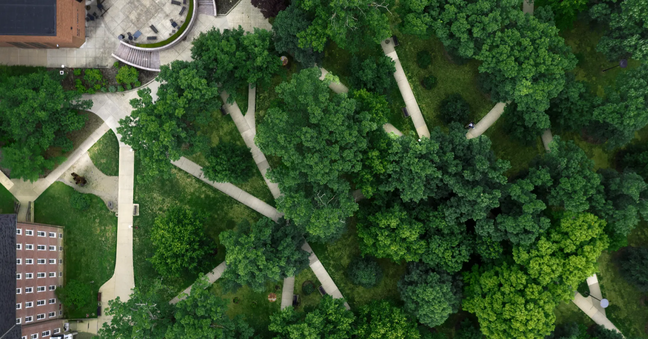 aerial photo of the IUP oak grove