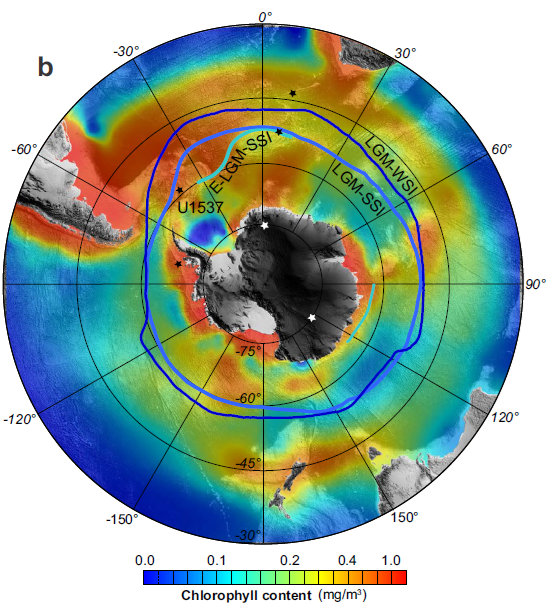map of chlorophyll distribution southern ocean