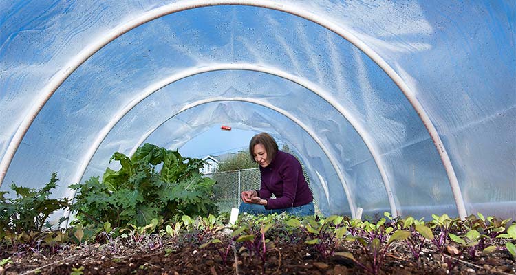 A woman works in the Community Garden