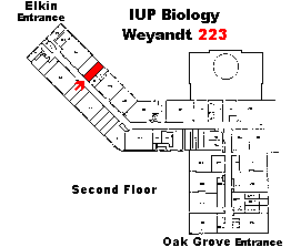 Weyandt 223 Map