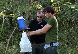 Simmons Ferry Mosquito Trap