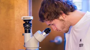 a person looking through a microscope