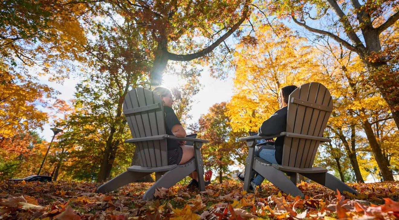 students sitting in chairs in the oak grove during the fall