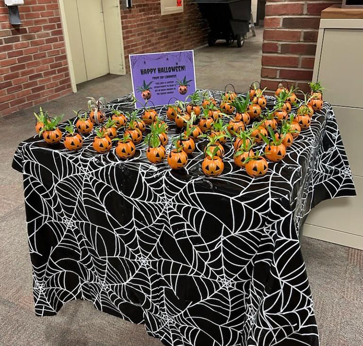 Halloween planter kits created by IUP student Hayden Moyer