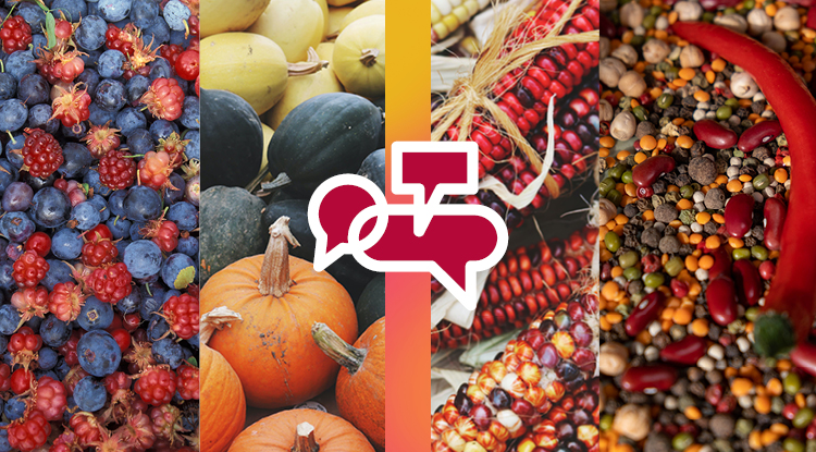 A colorful collage of Native American foods, including blueberries, raspberries, pumpkins, squash, corn, and beans, is shown with a small graphic on top that looks like three empty speech balloons, representing the conversation about Native American history and indigenous food science.