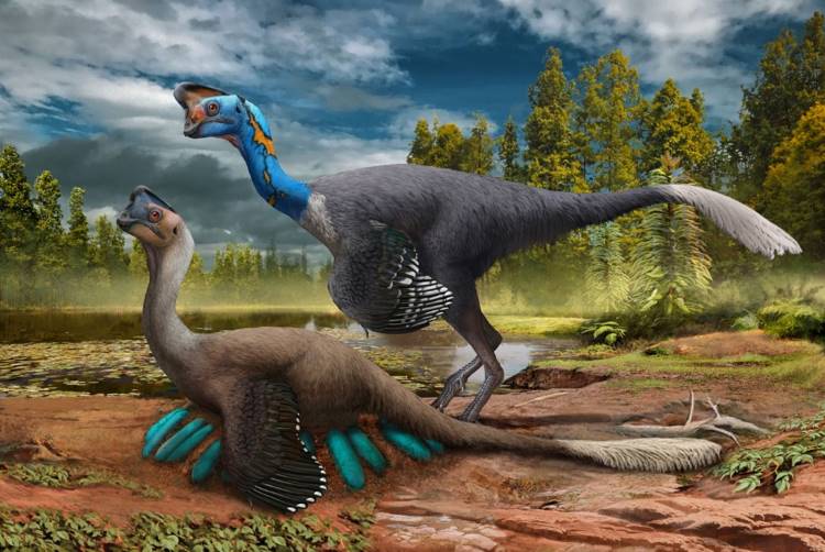 An attentive oviraptorid theropod dinosaur broods its nest of blue-green eggs while its mate looks on in what is now Jiangxi Province of southern China some 70 million years ago.