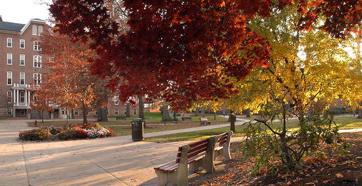 A fall scene in the Oak Grove